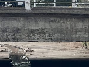 Collectivite Pont Prinicpale